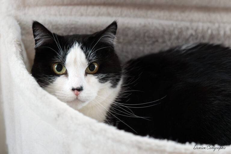 2025 11 28_A7403782 IMG 1ER PLAN