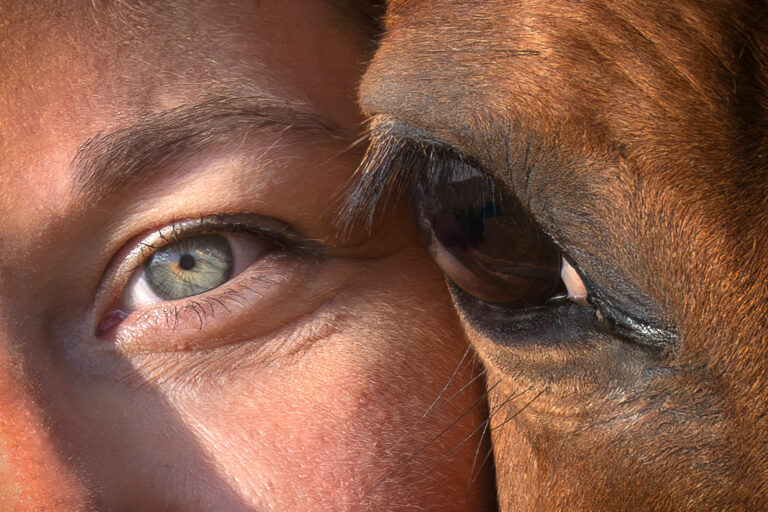 2026 05 09_A7405851 YEUX